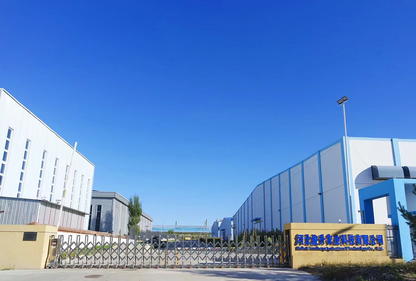 Junsheng potato factory and processing facility for food-grade potato flakes and potato granules in China