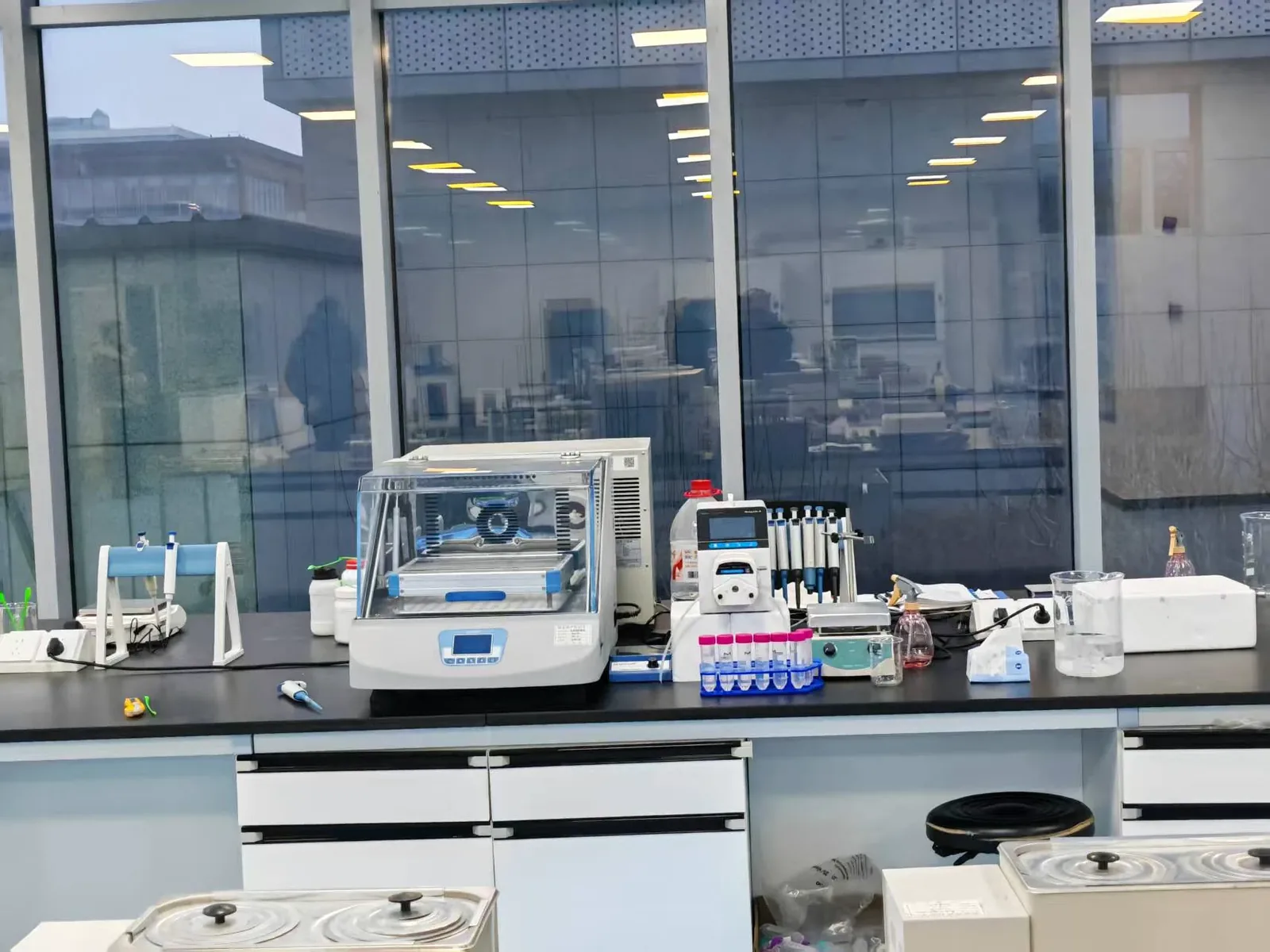 Potato ingredient application testing and sample trials at the Junsheng lab