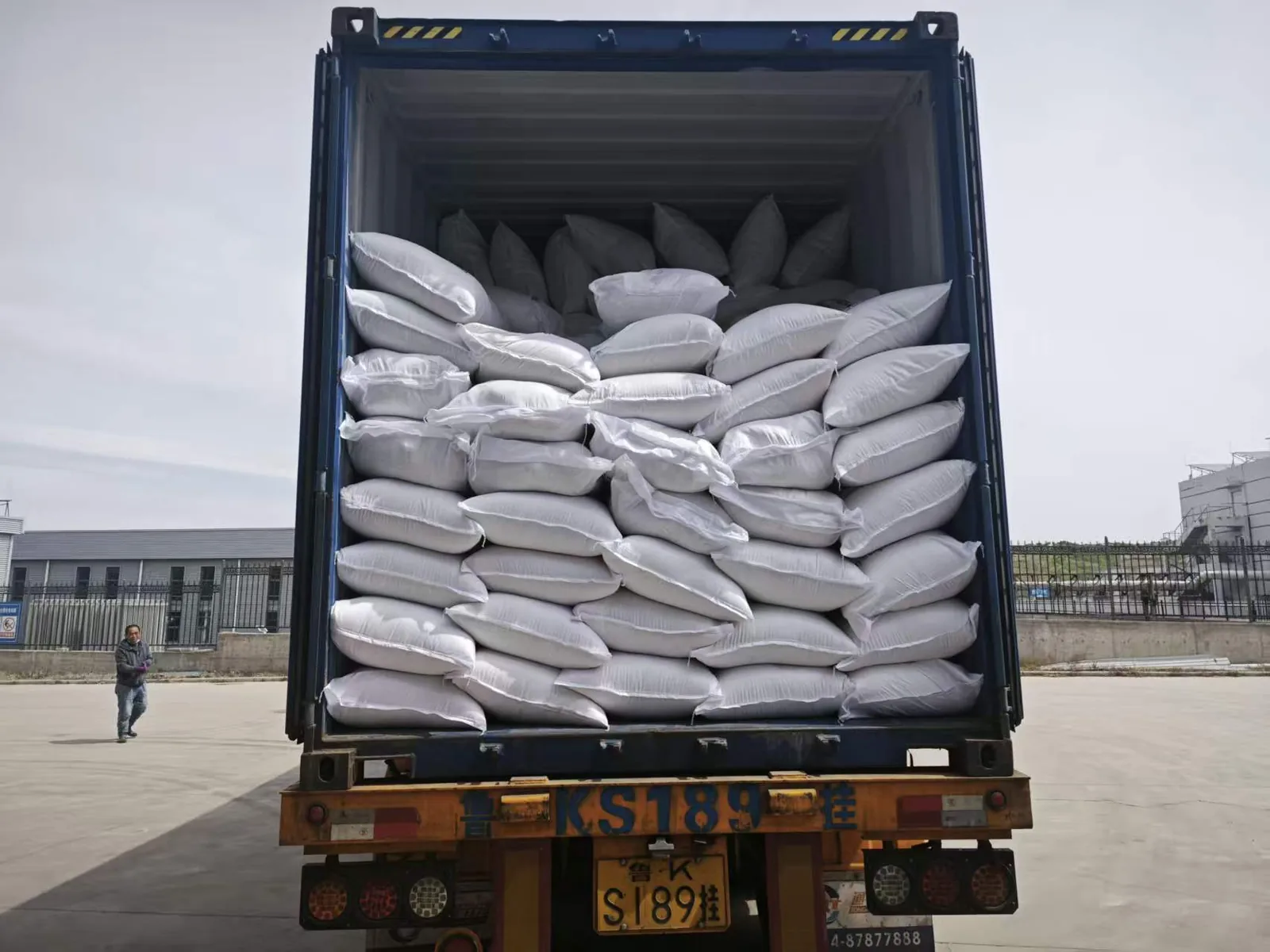 Export container loading of bulk potato ingredients at Junsheng warehouse, China