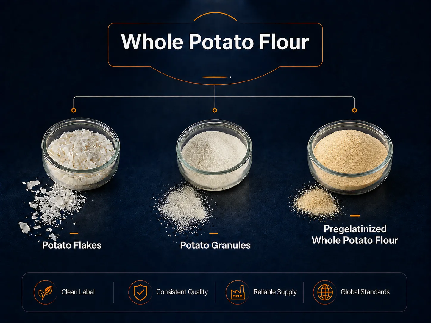 Potato flour concept - whole-potato ingredients from potato flakes and potato granules