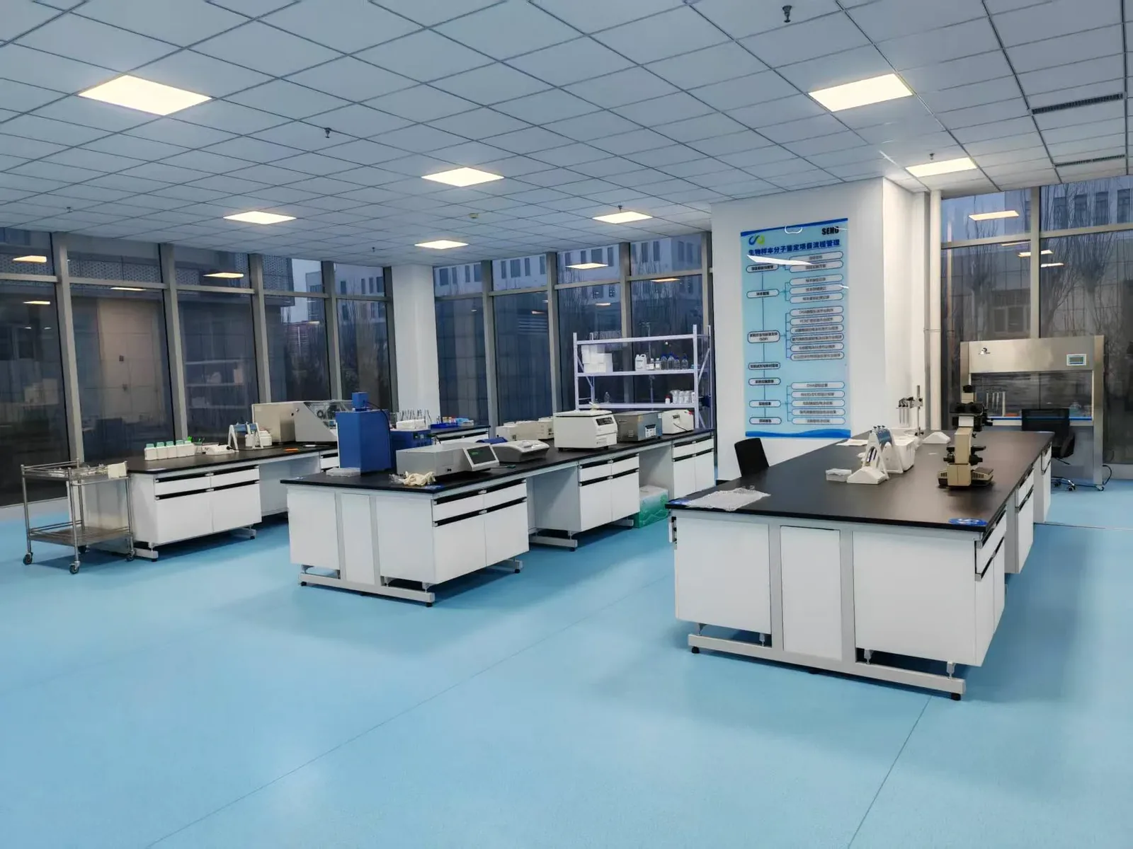 Junsheng quality laboratory testing potato flakes, potato granules and potato starch batches